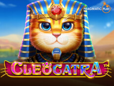 Casino bedava slot oyunları94